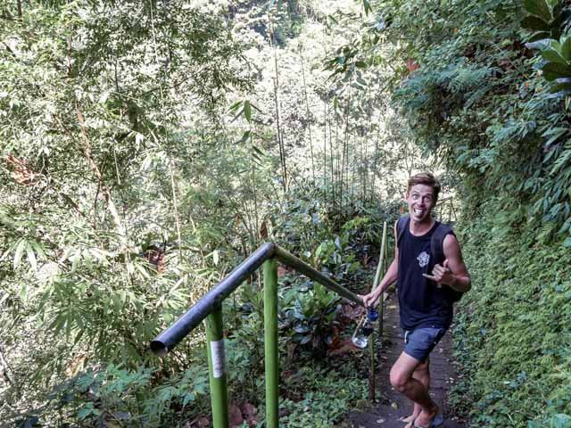 Jungle Trek Path