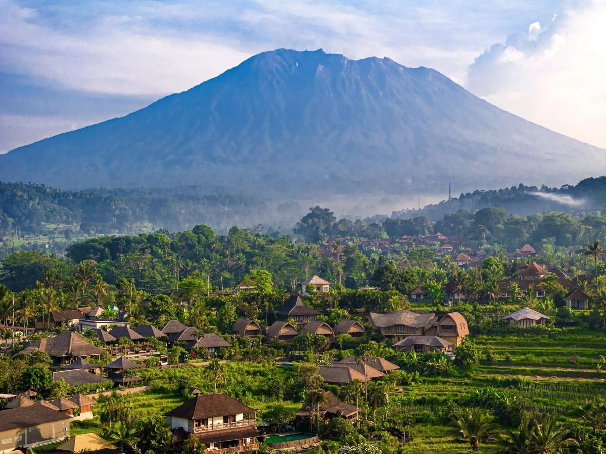 Sidemen rice fields and palm trees in Bali